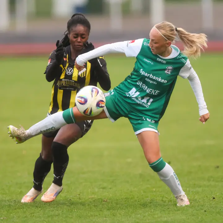 Saga Fredgren