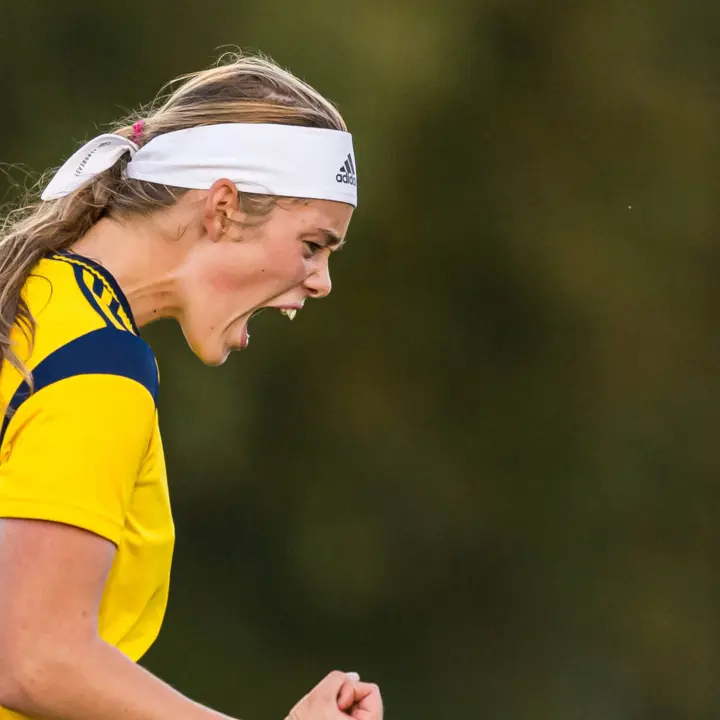 Roos Huitzing