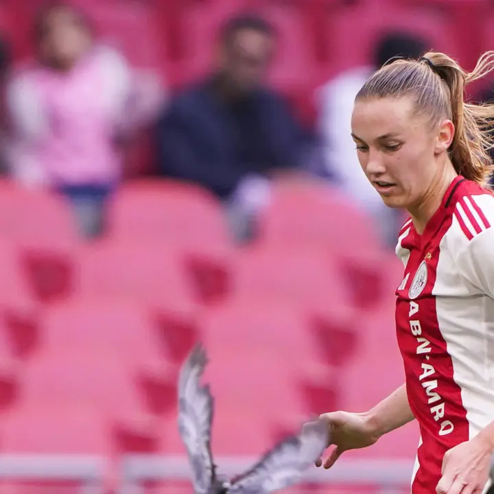 Daniëlle Noordermeer