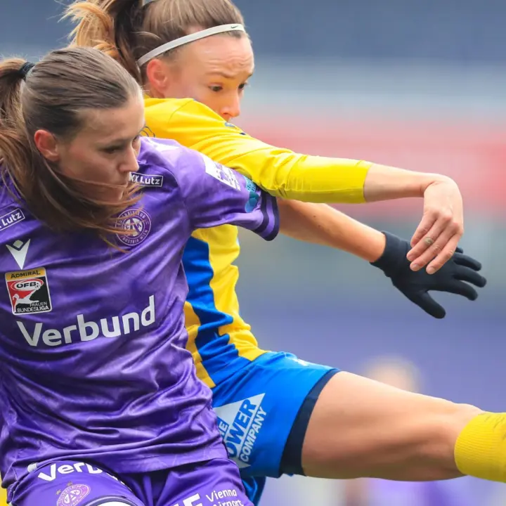 Dominique Bruinenberg