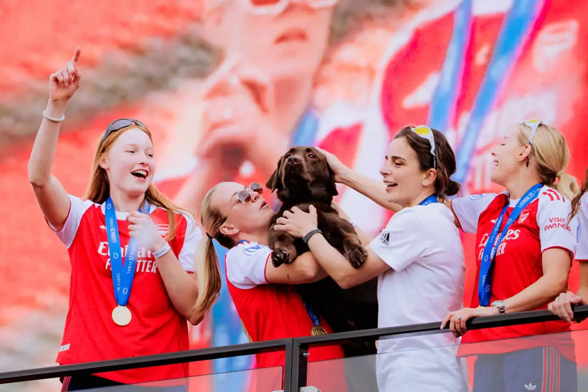 The cutest supporters. Meet the paw-some squad