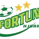 Fortuna Hjørring