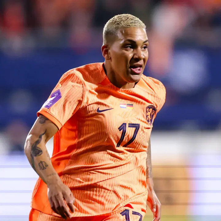Shanice van de Sanden