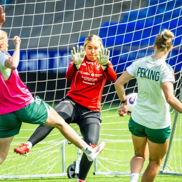 Sofia Hjern