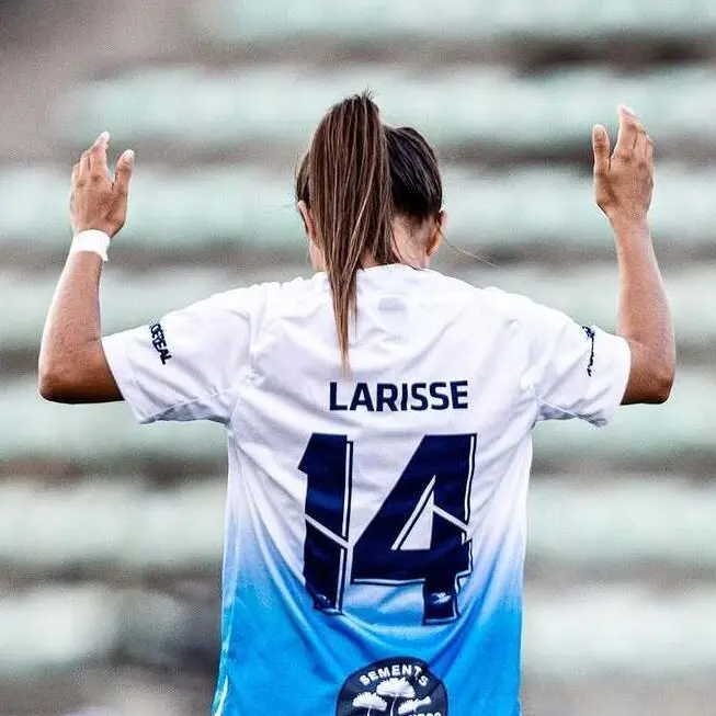 Maria Larisse Ferreira de Sousa